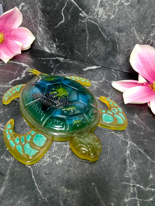 *Sofortkauf* Schildkröte 3D